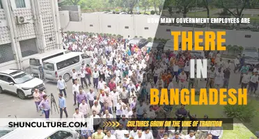 Exploring Bangladesh's Public Sector: Total Government Employees Count Revealed