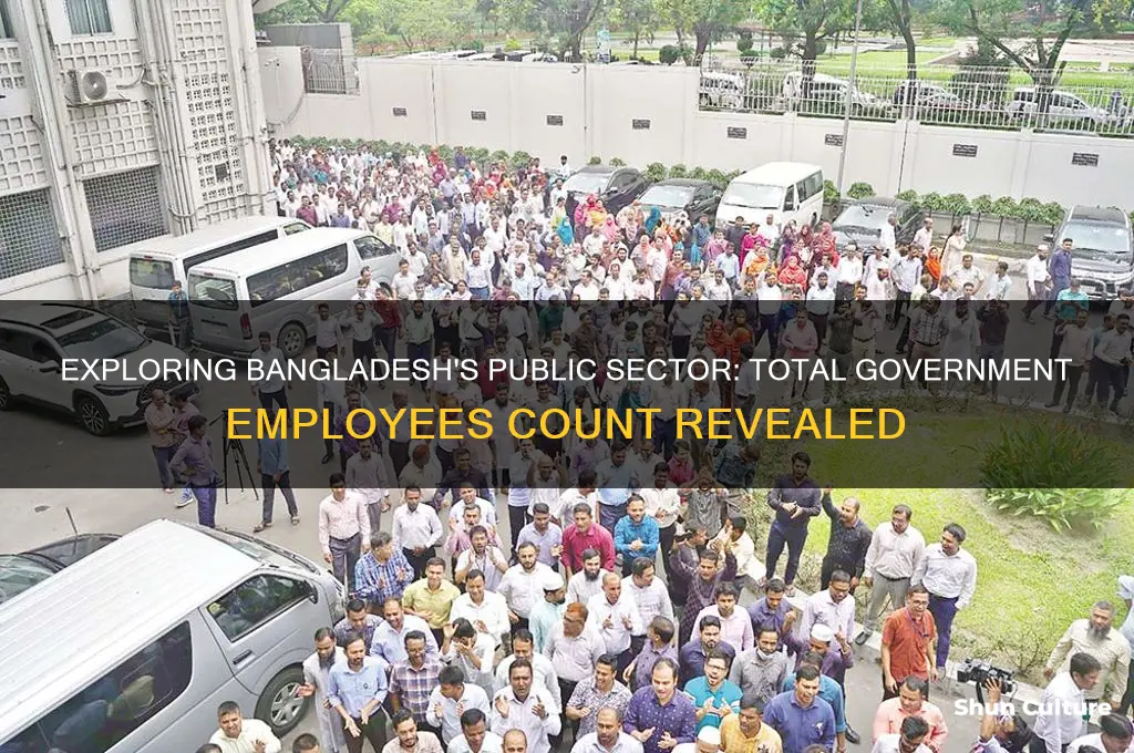 how many government employees are there in bangladesh