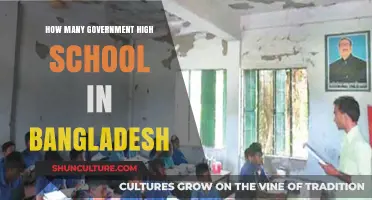 Exploring the Number of Government High Schools in Bangladesh