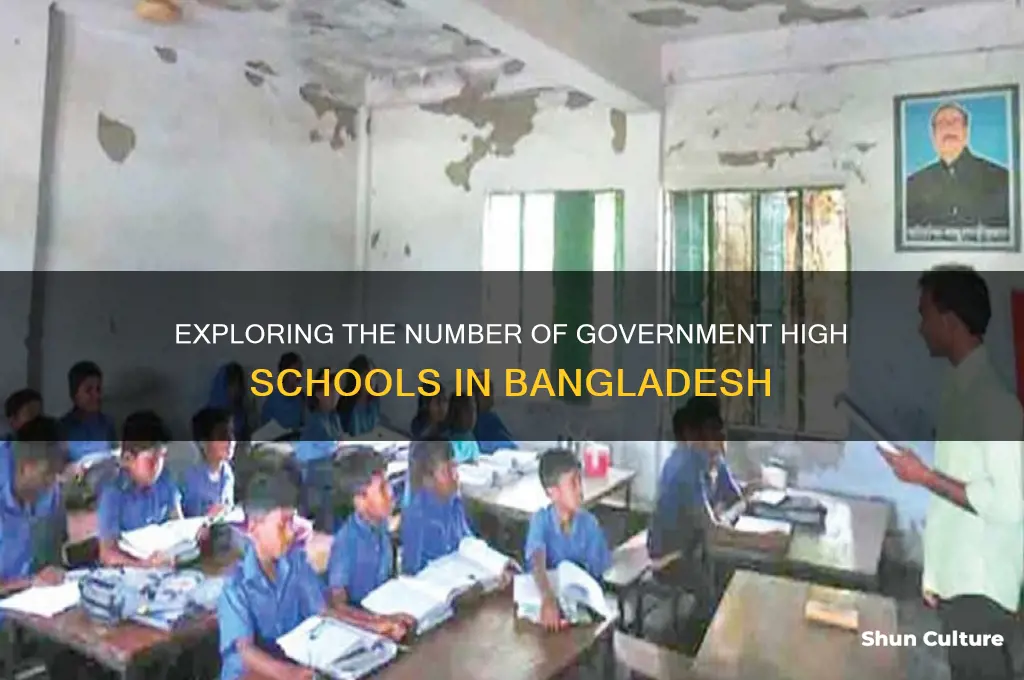 how many government high school in bangladesh