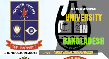Exploring Bangladesh's Public Universities: A Comprehensive Count and Overview