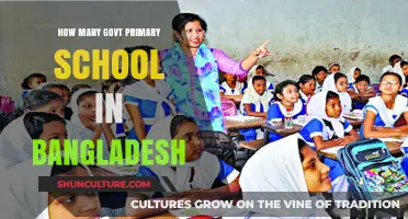 Exploring the Number of Government Primary Schools in Bangladesh