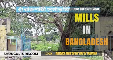 Exploring Bangladesh's Government-Owned Sugar Mills: A Comprehensive Count