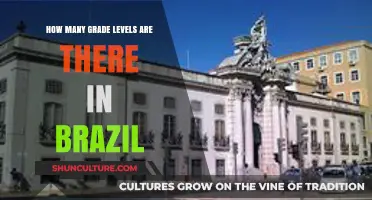Understanding Brazil's Education System: Exploring the Number of Grade Levels