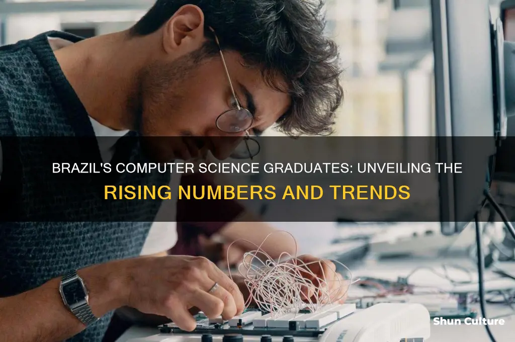 how many graduates in computer science majors in brazil