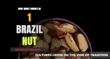 Brazil Nut Weight: Uncovering the Grams in One Nut