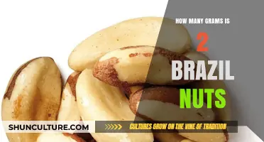 Brazil Nuts Serving Size: How Many Grams in 2 Nuts?