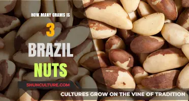 Brazil Nuts Serving Size: How Many Grams in 3 Nuts?