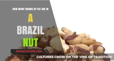 Brazil Nut Fat Content: Uncovering Grams of Fat in Each Nut