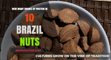Brazil Nuts Protein Content: Grams in 10 Nuts Revealed