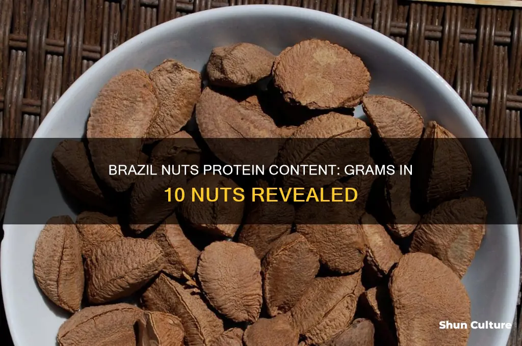 how many grams of protein in 10 brazil nuts