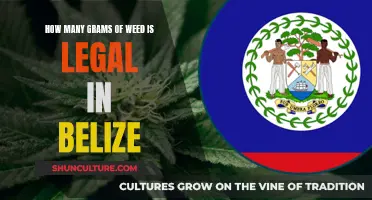 Belize's Legal Weed Limit