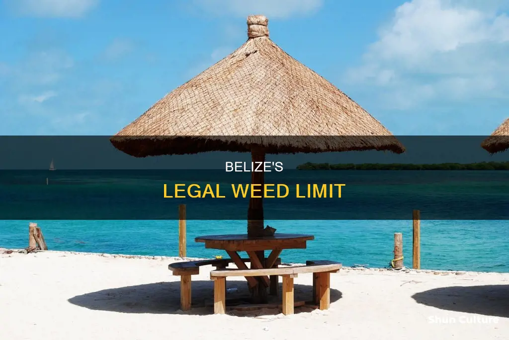 how many grams of weed is legal in belize