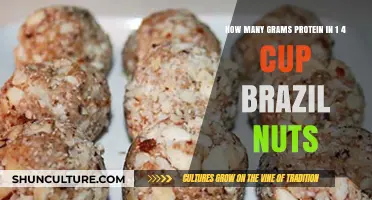 Brazil Nuts Protein Content: 1/4 Cup Grams Revealed