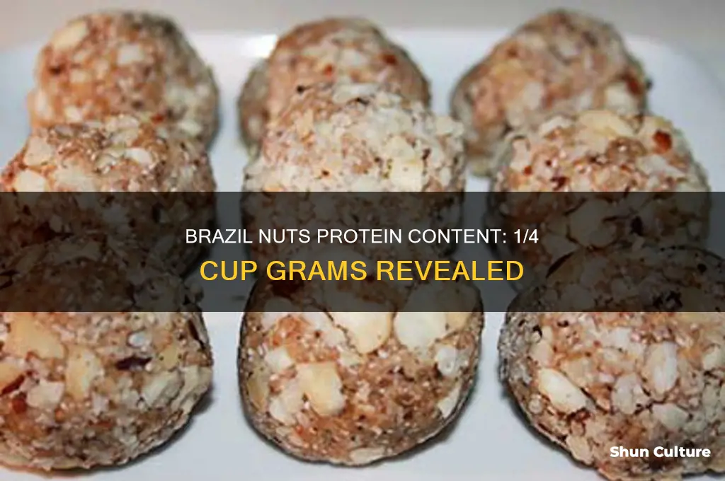 how many grams protein in 1 4 cup brazil nuts