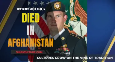 The Human Cost of War: Remembering the Fallen Green Berets in Afghanistan