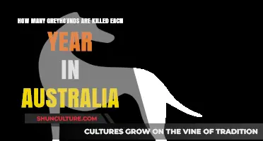 The Shocking Annual Toll: Greyhound Deaths in Australia Revealed