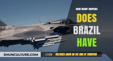 Brazil's Gripen Fleet: Current Numbers and Strategic Importance