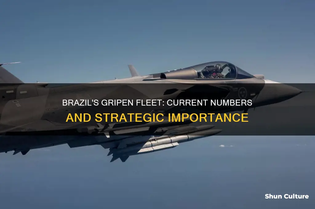 how many gripens does brazil have