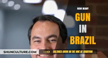 Brazil's Gun Ownership: Unveiling the Surprising Number of Firearms