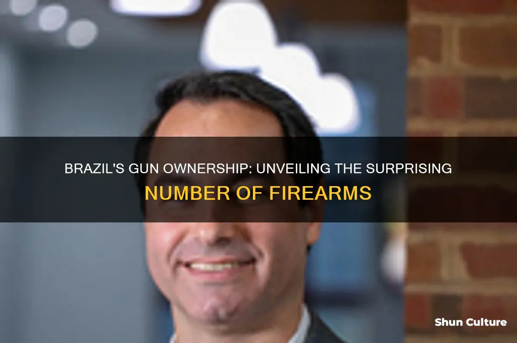 how many gun in brazil