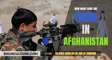 **A Nation Armed: The Gun Culture of Afghanistan**