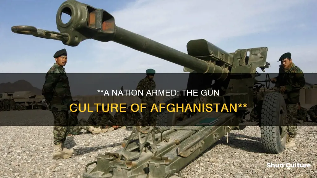 how many guns are there in afghanistan