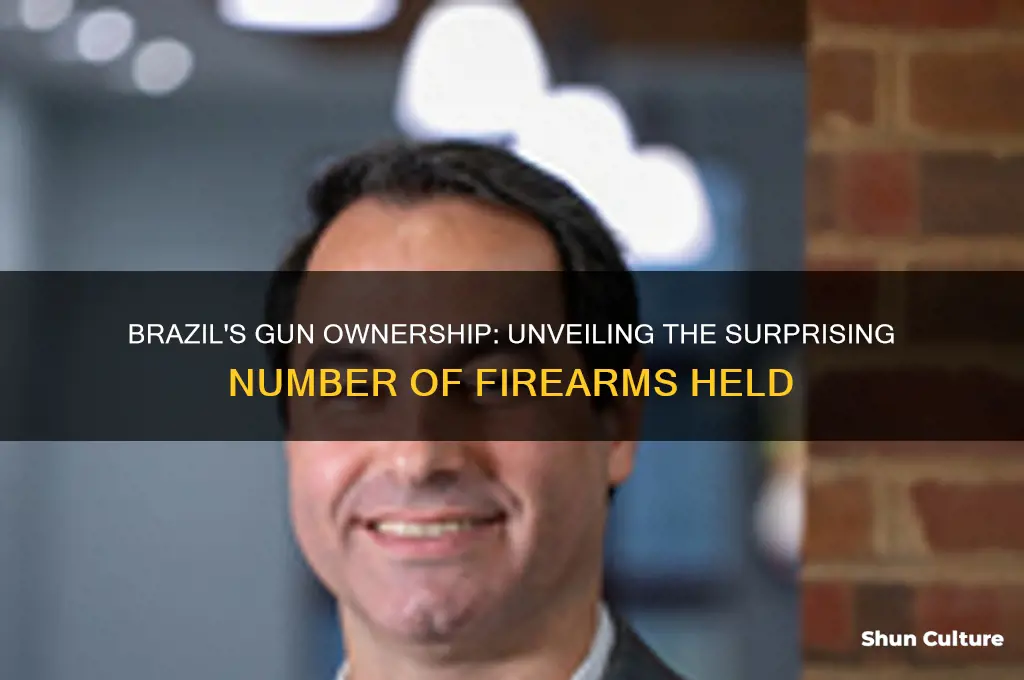 how many gunsare owned in brazil