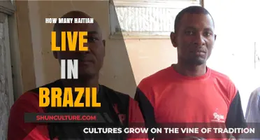 Haitian Community in Brazil: Exploring Population and Cultural Impact