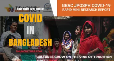 COVID-19's Toll: Tracking Bangladesh's Pandemic Deaths and Impact