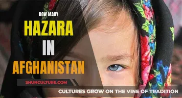 The Plight of the Hazara: Afghanistan's Persecuted Minority