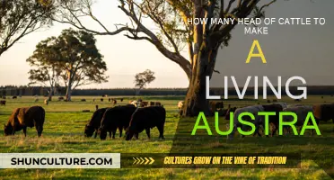 Cattle Farming in Australia: How Many Are Enough?