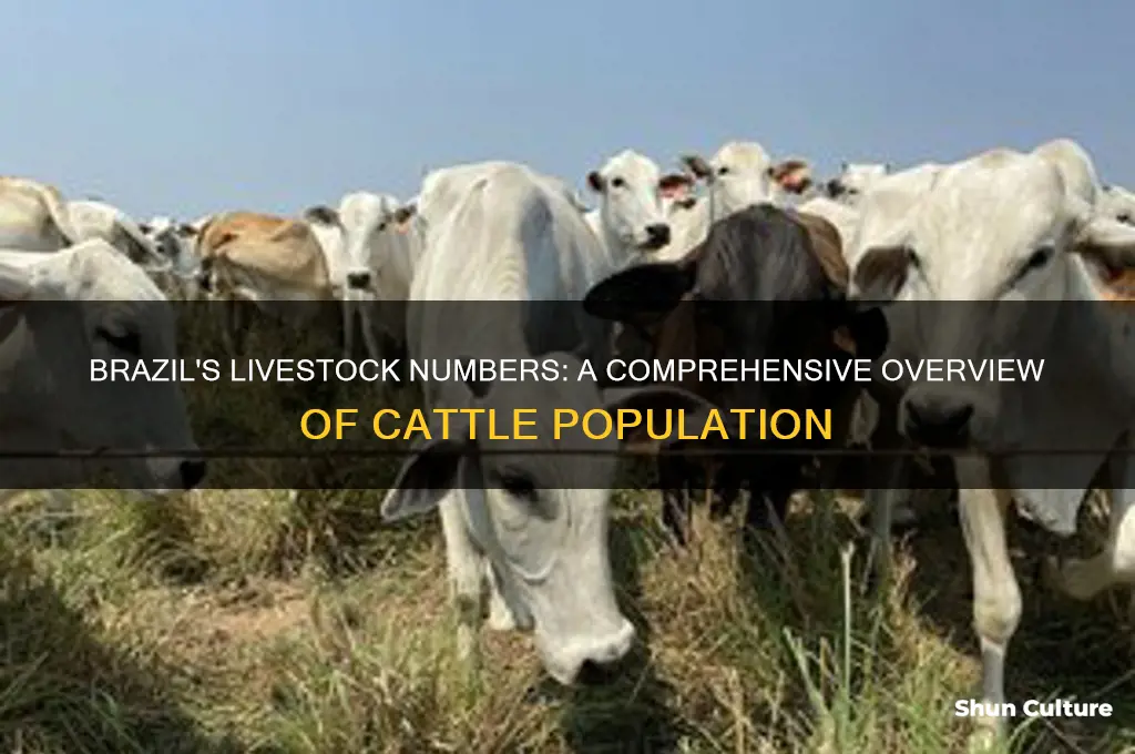 how many head of livestock are in brazil