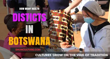 Exploring Botswana's Healthcare System: Understanding the Number of Health Districts