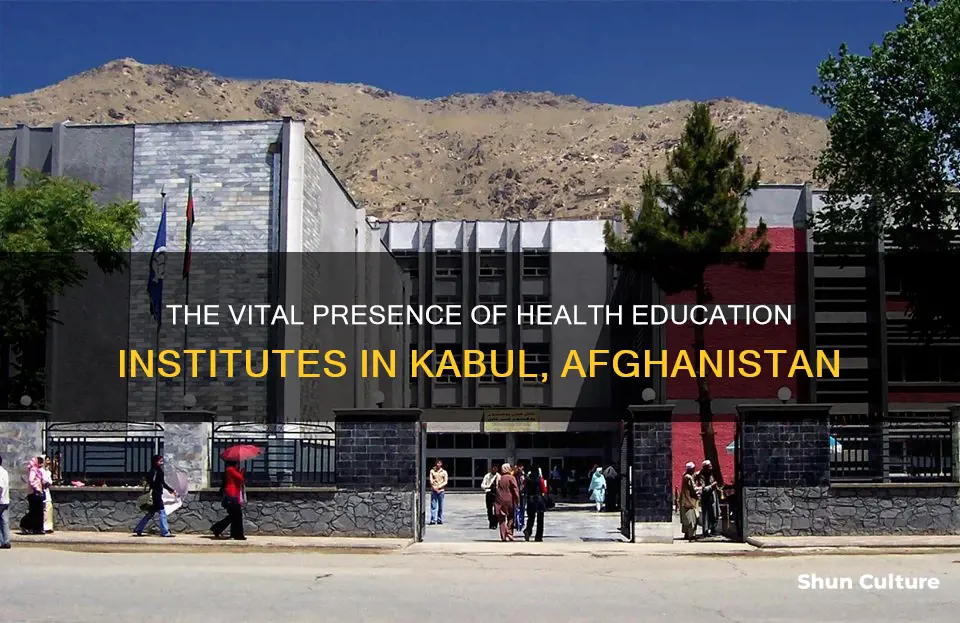 how many health education government institutes are in kabul afghanistan