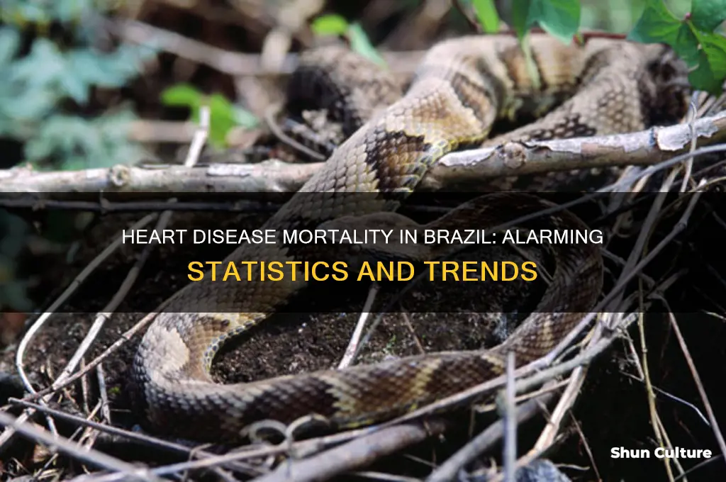 how many heart disease deaths in brazil