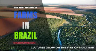 Exploring Brazil's Farmland: How Many Hectares Are in Use?