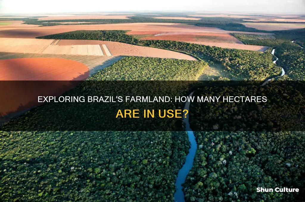 how many hecreras of farms in brazil