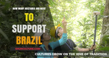 Sustainable Land Requirements: Supporting Brazil's Needs in Hectares