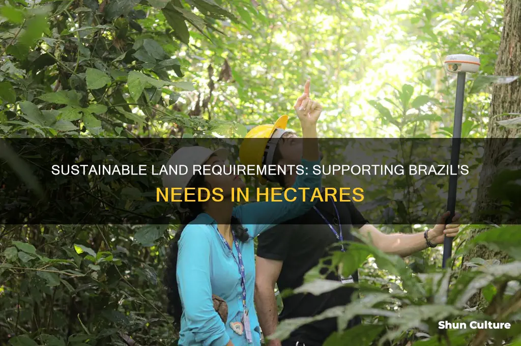 how many hectares are need to support brazil