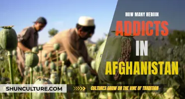 Afghanistan's Heroin Epidemic: A Nation in the Grip of Addiction