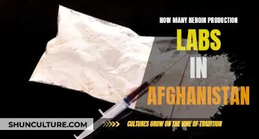 Heroin's Dark Legacy: Unraveling Afghanistan's Labyrinth of Production Labs