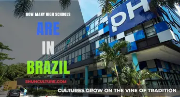 Exploring Brazil's High School Count: A Comprehensive Overview