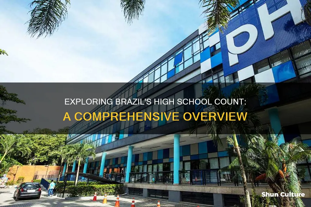 how many high schools are in brazil