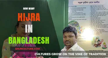 Understanding Bangladesh's Hijra Community: Population Insights and Challenges