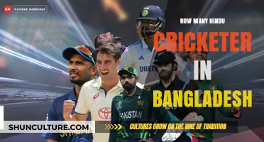 Exploring the Presence of Hindu Cricketers in Bangladesh's Cricket Scene