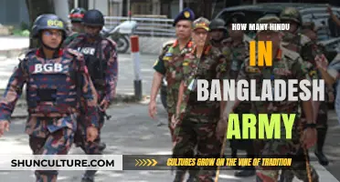 Hindu Representation in Bangladesh Army: Current Statistics and Insights