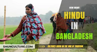 Hindu Population in Bangladesh: Current Statistics and Trends