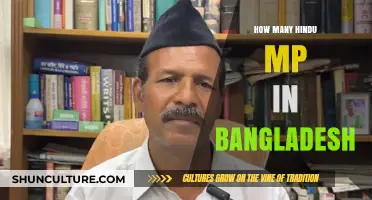 Hindu Representation in Bangladesh Parliament: Current MP Count and Insights