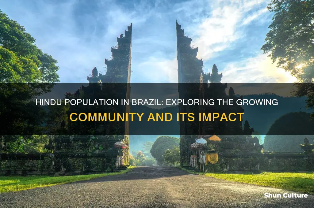 how many hindu people in brazil